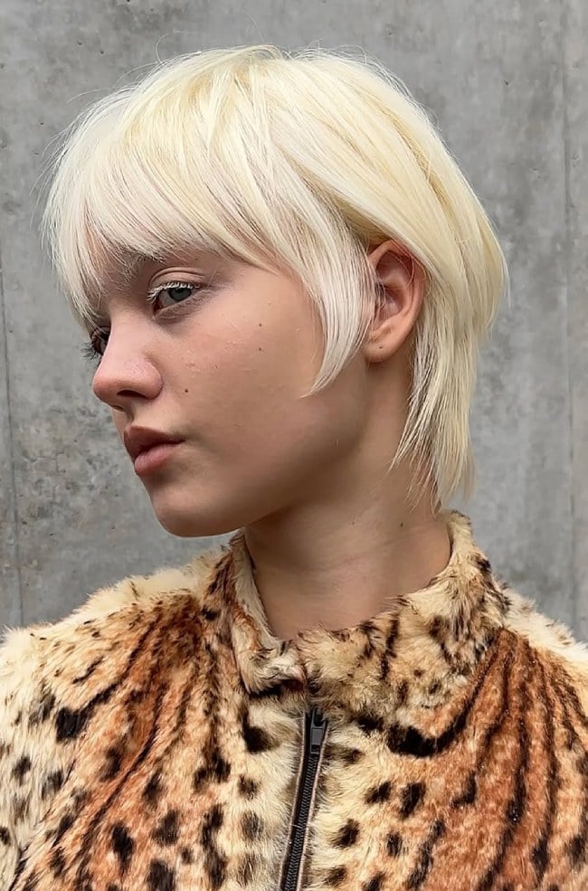 Platinum Pixie Mullet With Choppy Layers — Trendy Short Hair